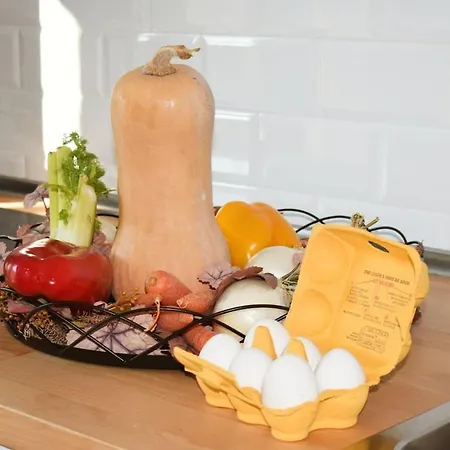 Guss Great View בית נופש *