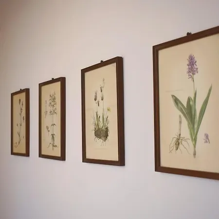 Guss Great View 펜션 시벤나