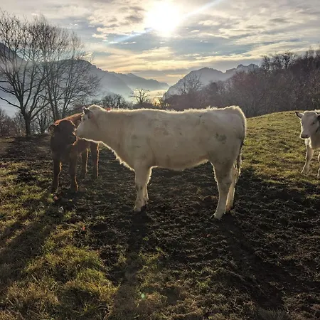 펜션 Guss Great View 시벤나