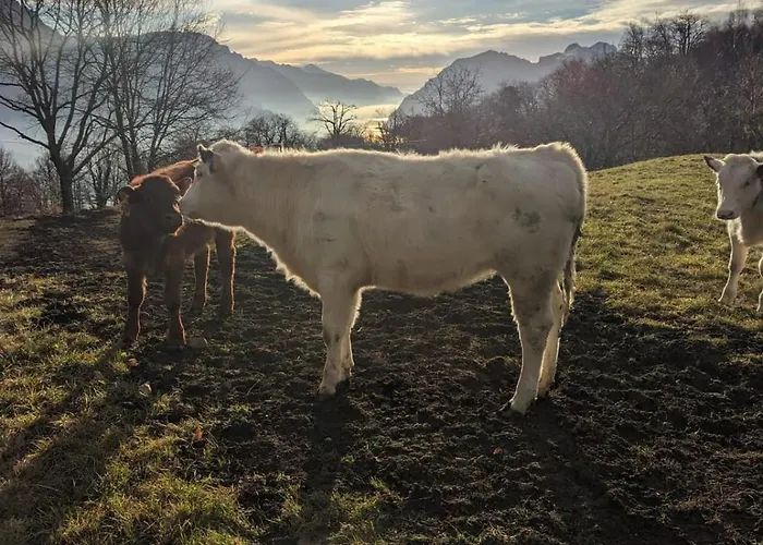 Σπίτι διακοπών Guss Great View Civenna